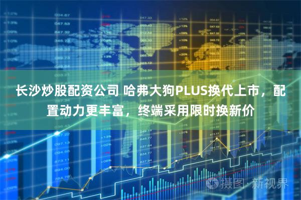 长沙炒股配资公司 哈弗大狗PLUS换代上市，配置动力更丰富，终端采用限时换新价