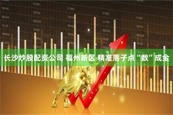 长沙炒股配资公司 福州新区 精准落子点“数”成金